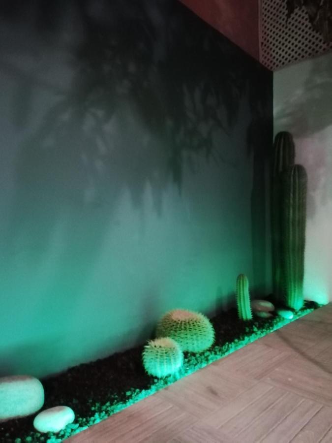 Casa Guadalupe Y Roque Villa Santa Cruz de Tenerife Eksteriør billede